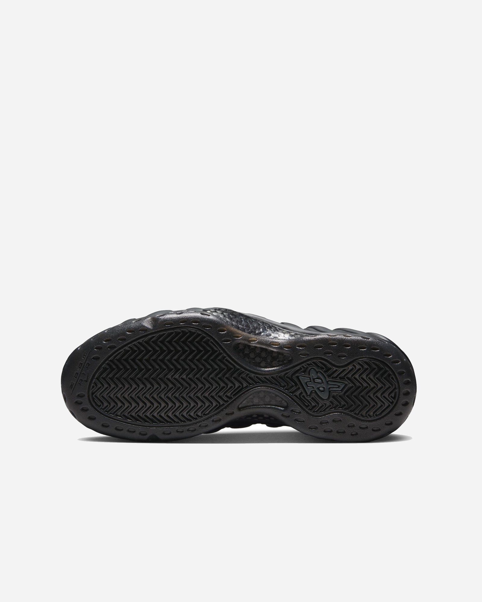 Nike Air Foamposite One "Black" image