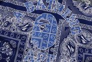 PAISLEY PATTERN LS SHIRT thumbnail image