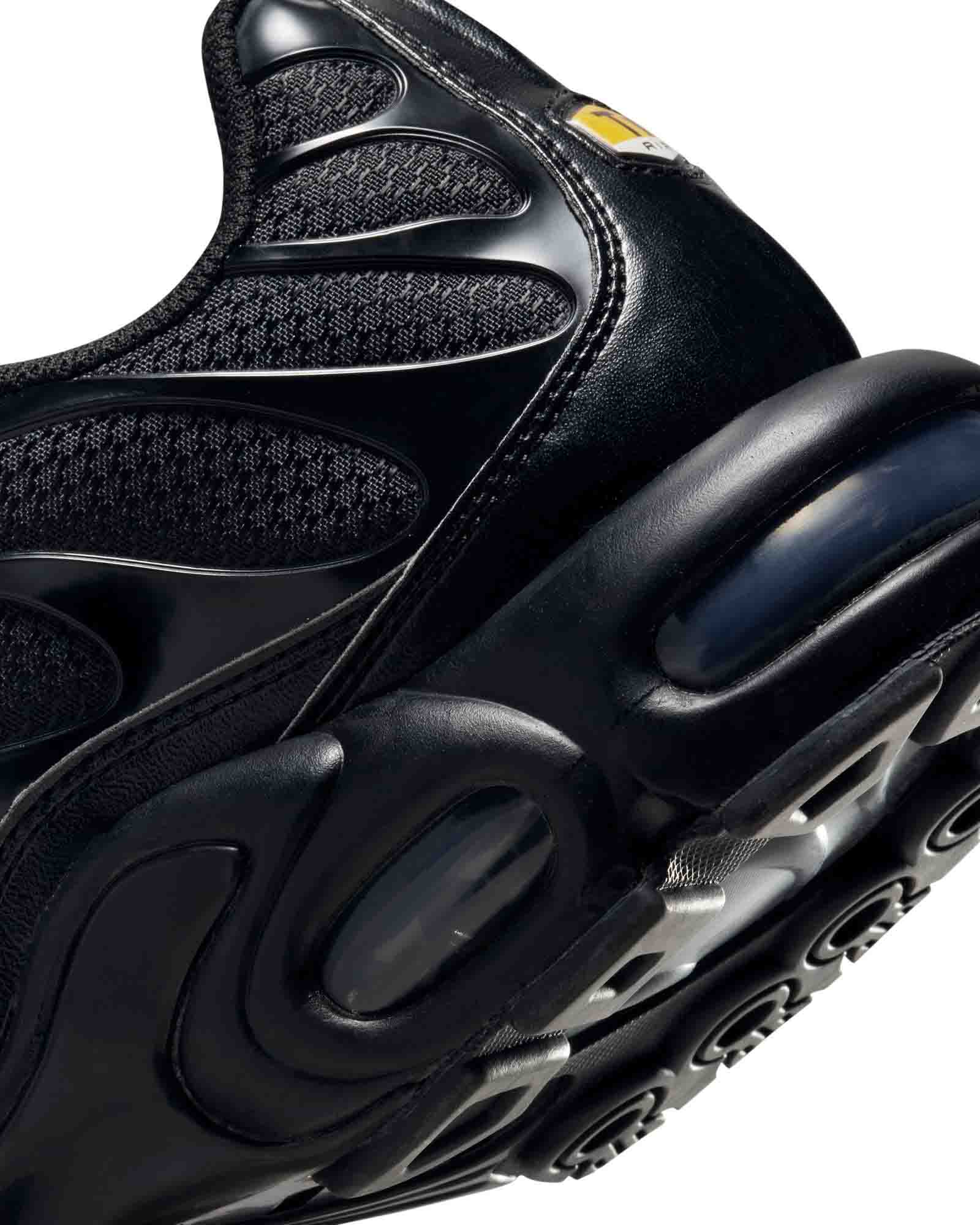 Nike Air Max Plus image