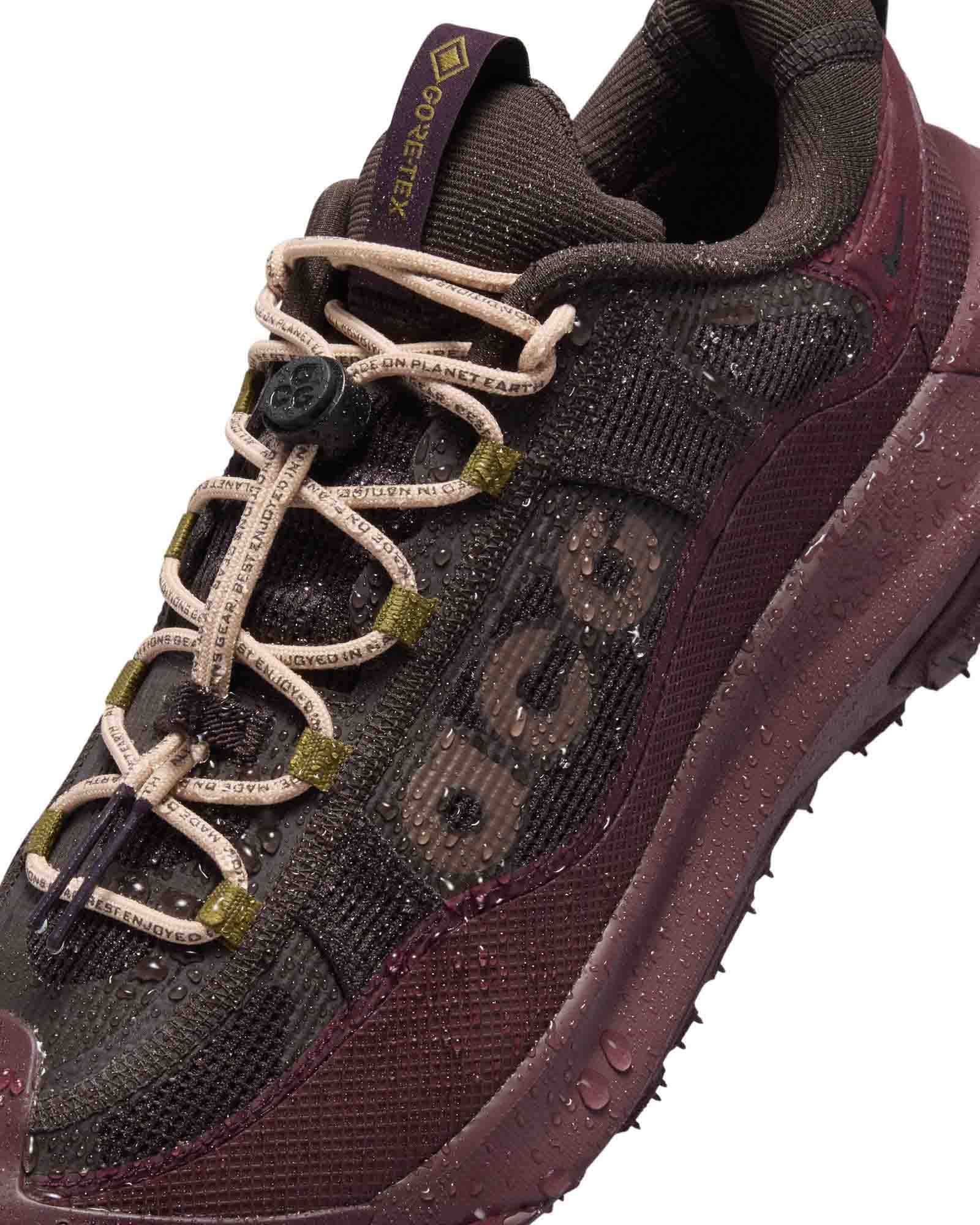 Nike ACG Mountain Fly 2 Low GORE-TEX image