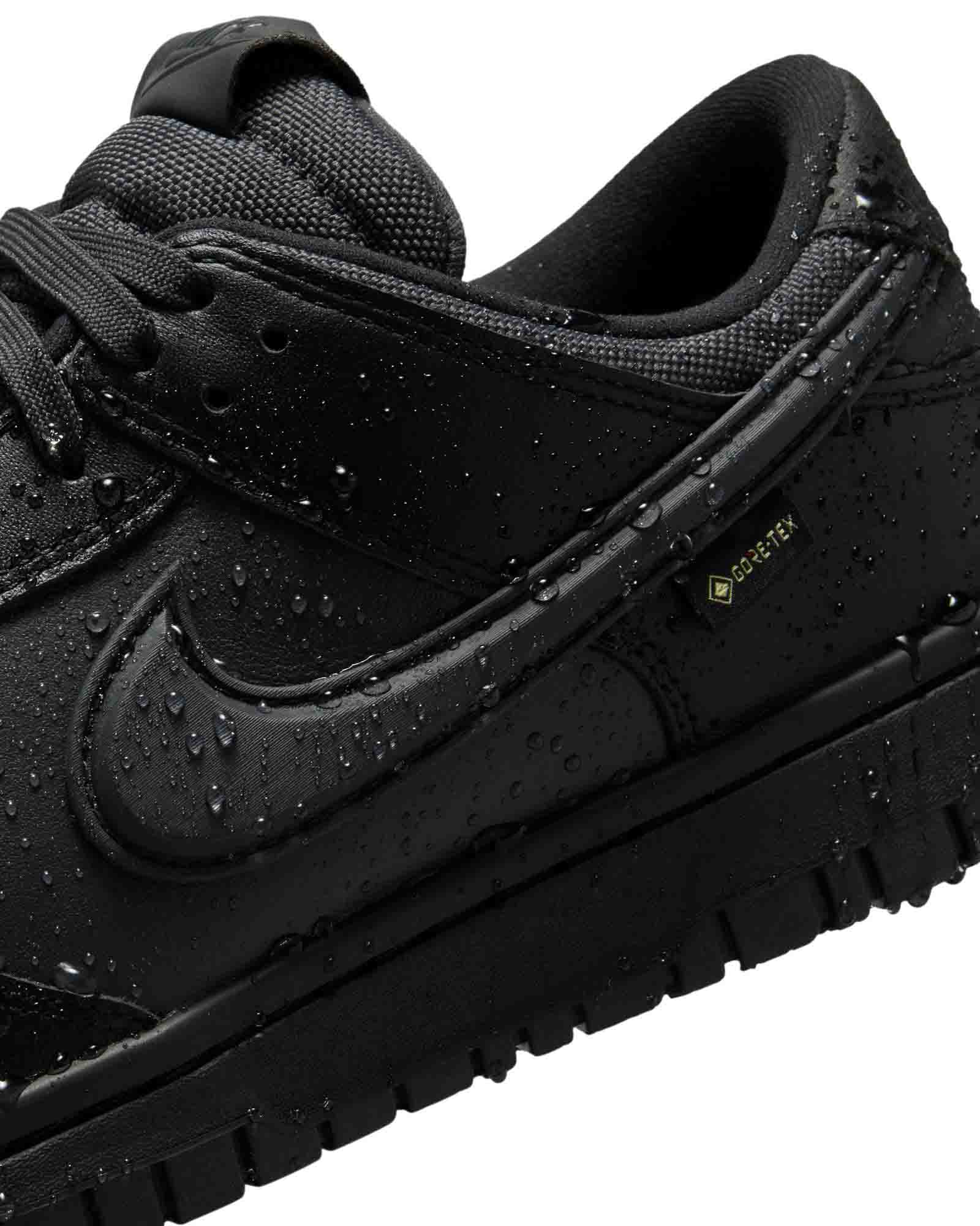 Nike Dunk Low GORE-TEX image