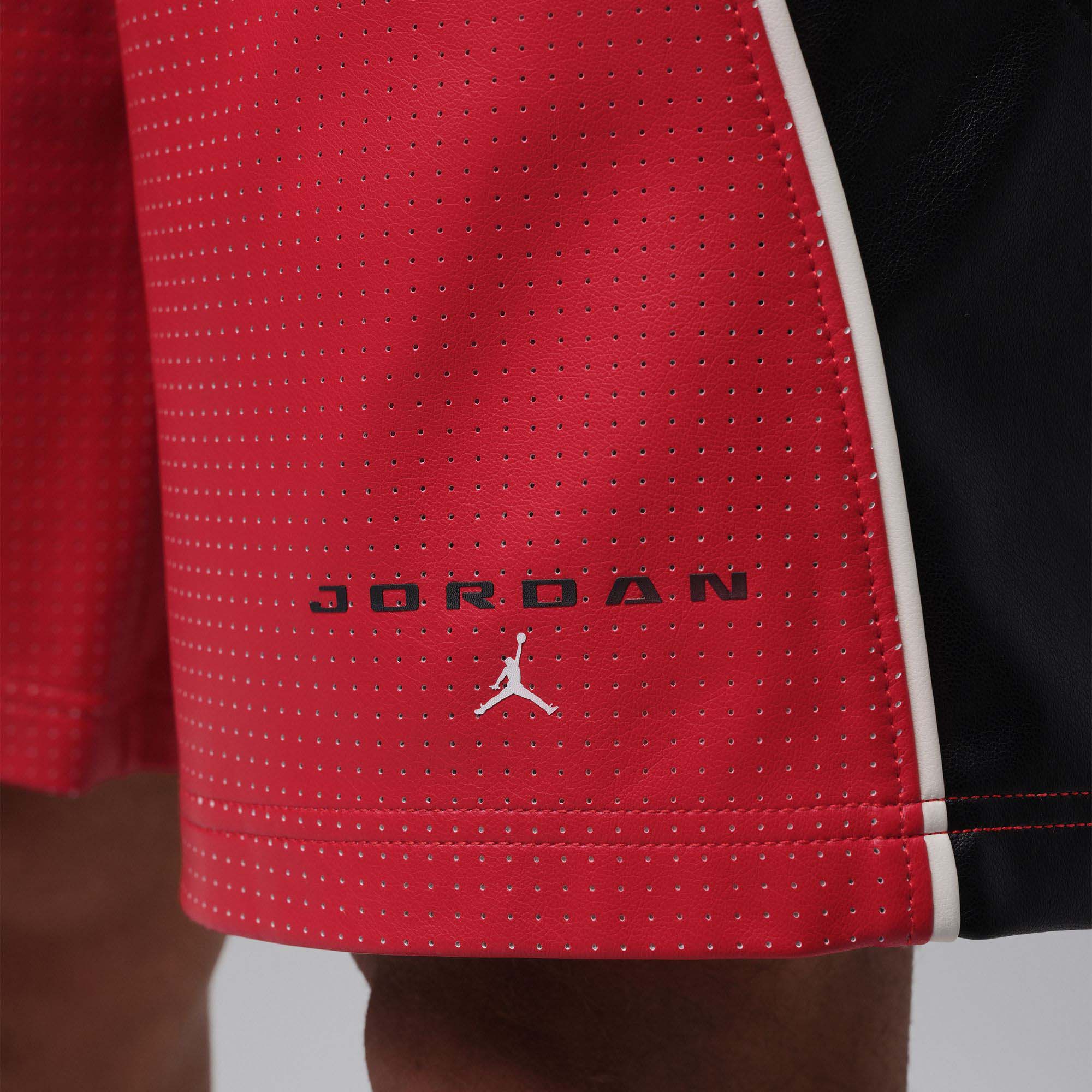 Jordan Cat Scratch Shorts image