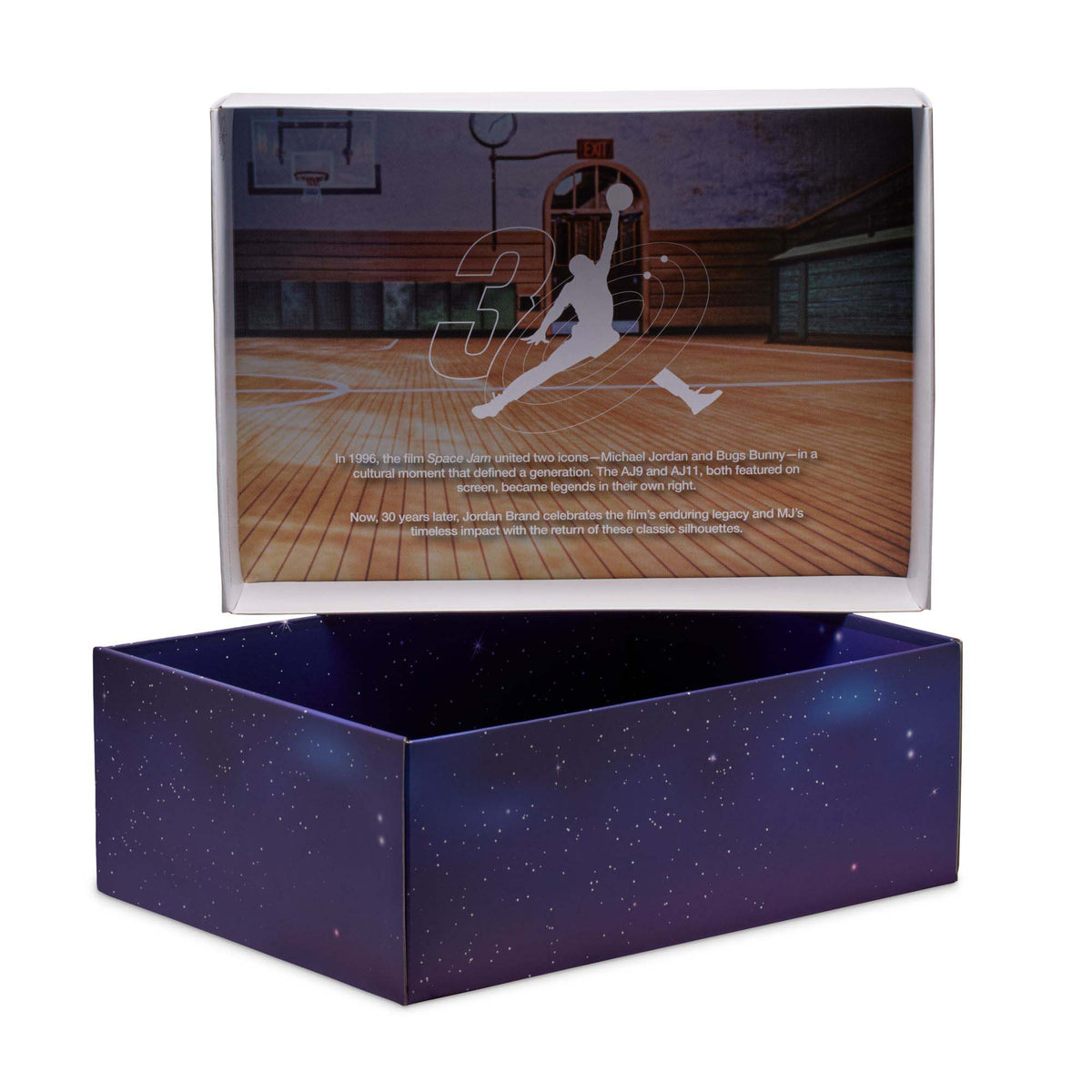 Air Jordan 9 Retro Space Jam image