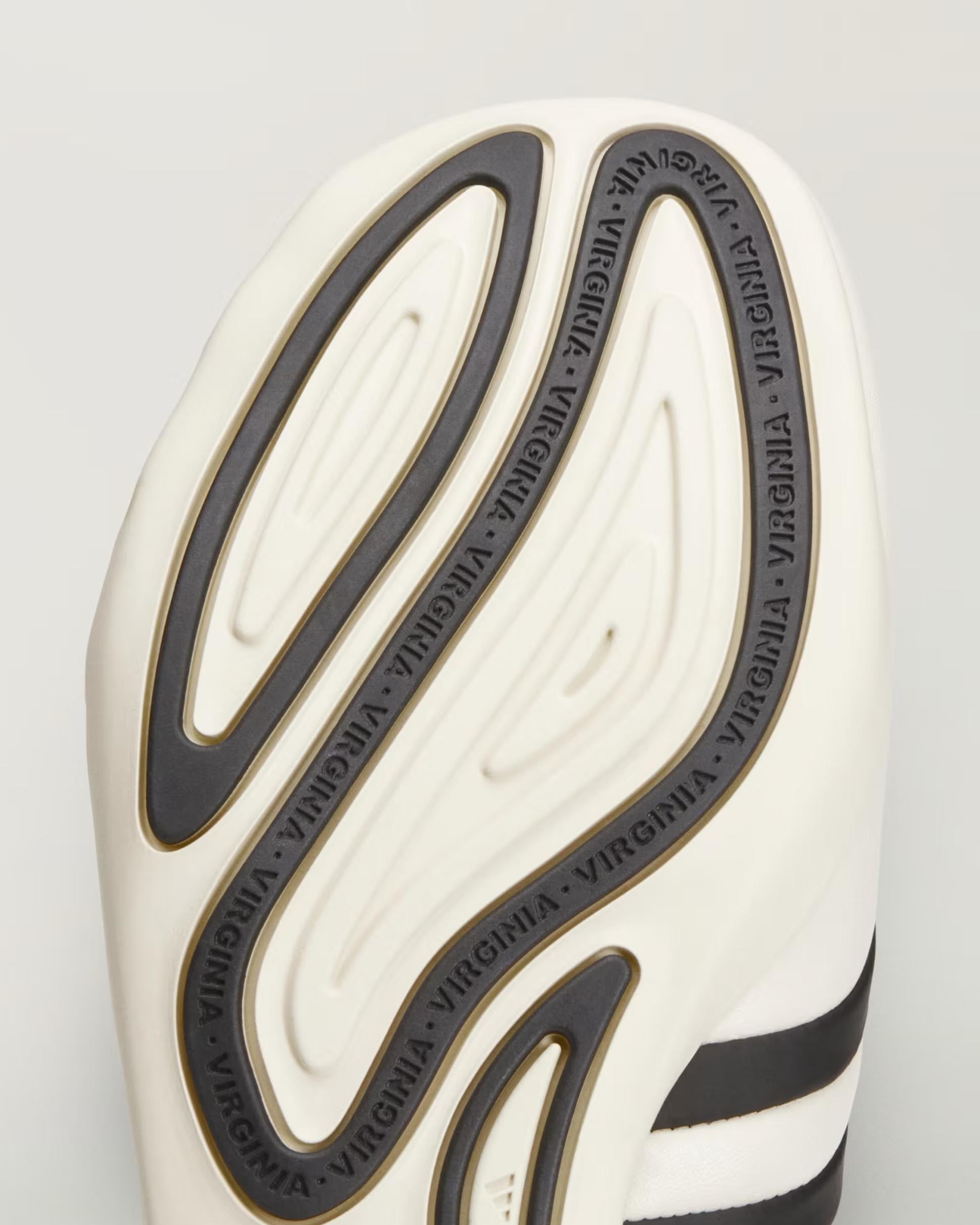 Virginia Vario Flat Earther By Pharrell image