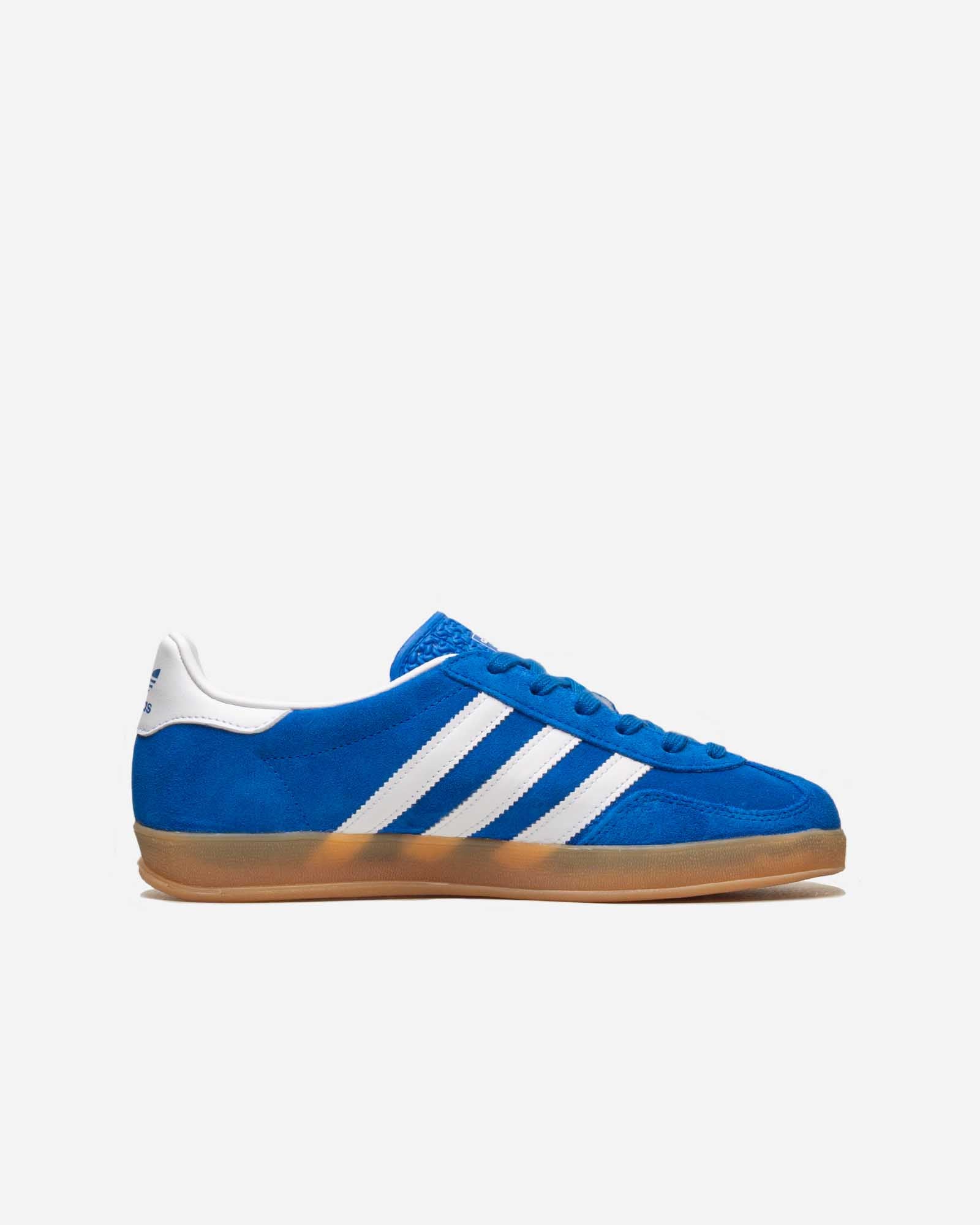 Gazelle Indoor image