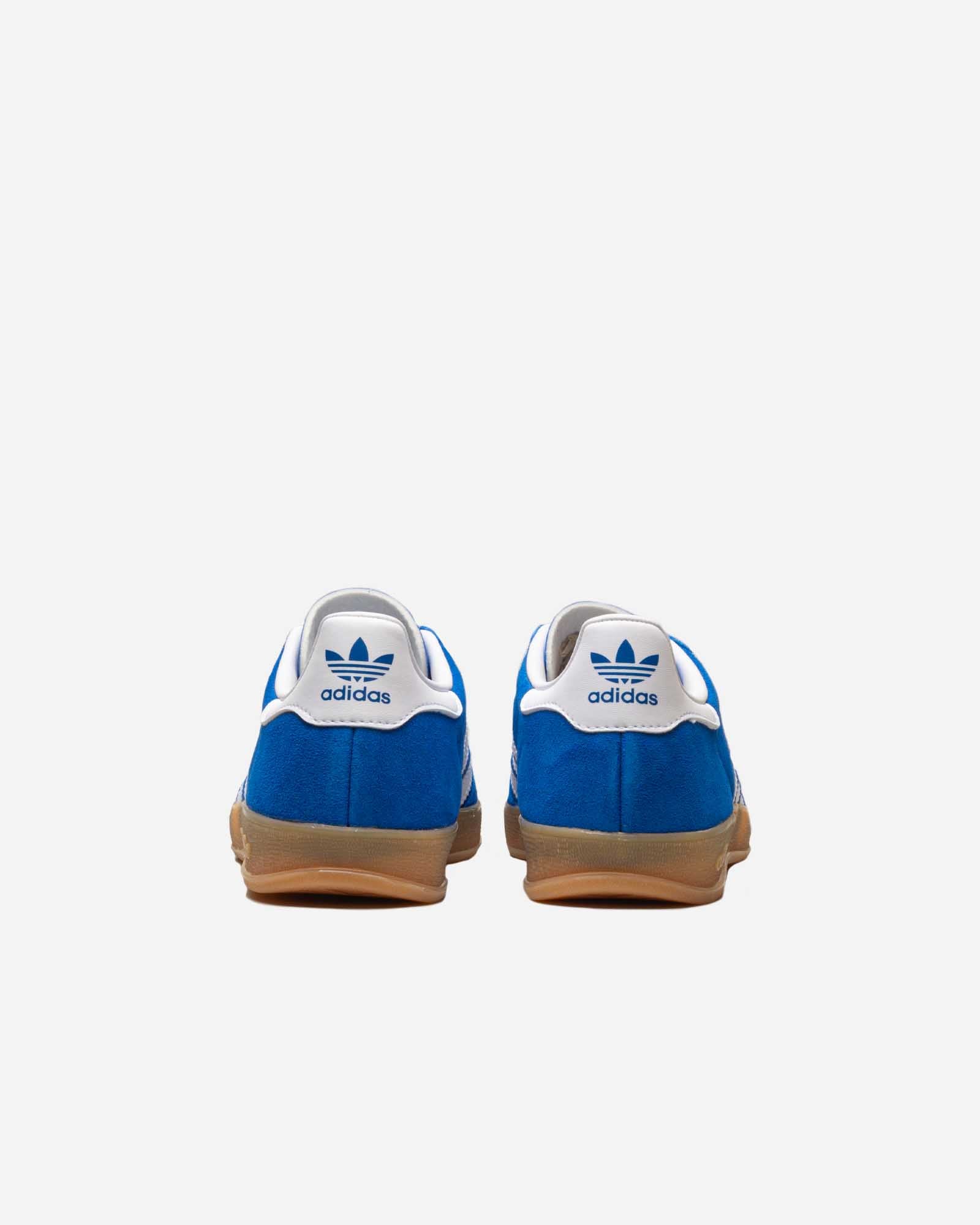 Gazelle Indoor image