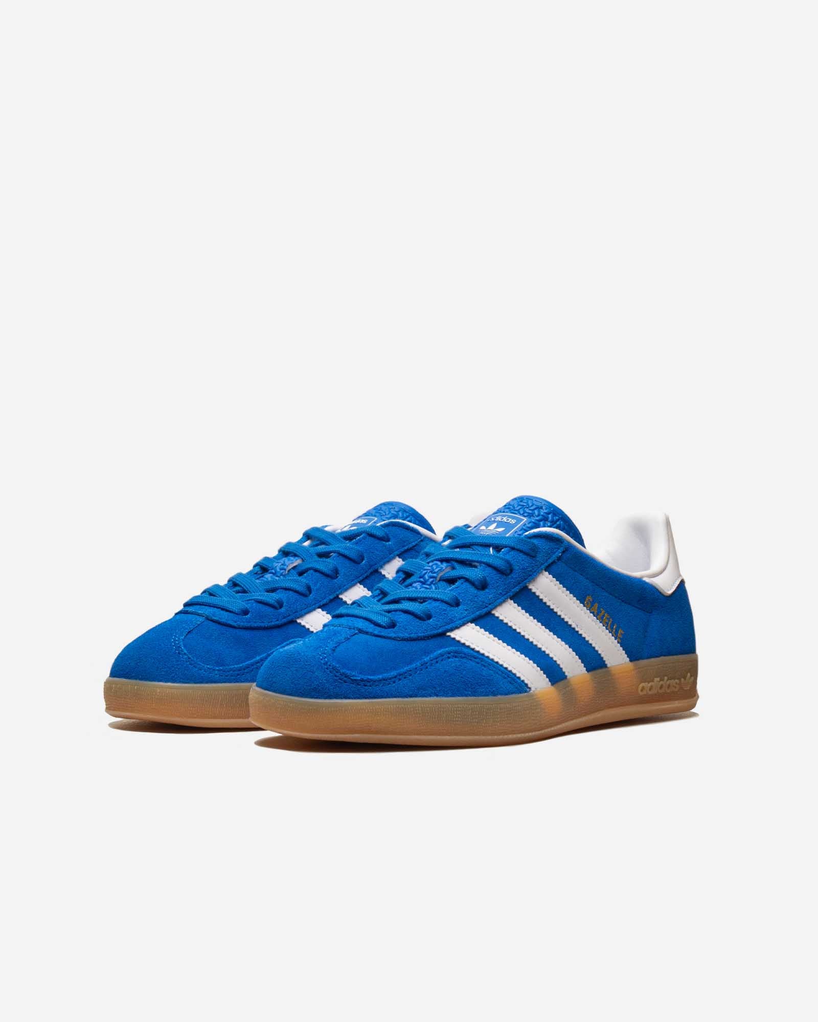 Gazelle Indoor image