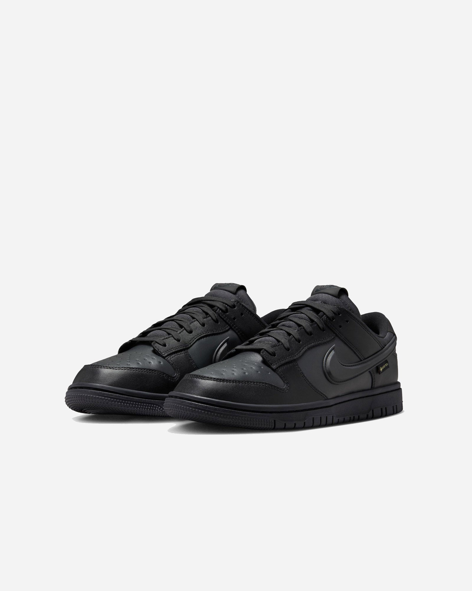 Nike Dunk Low GORE-TEX image
