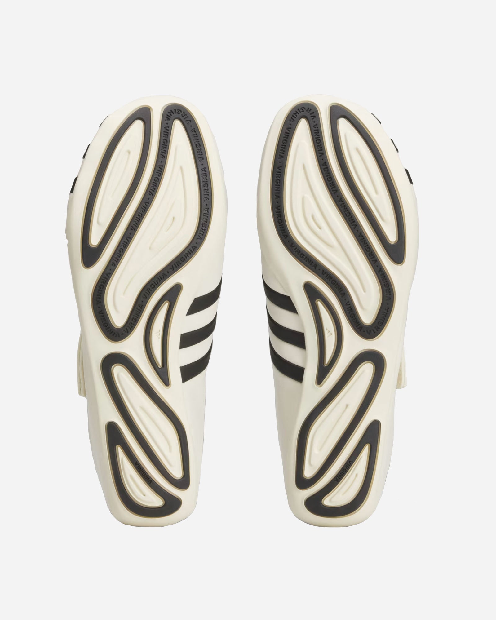 Virginia Vario Flat Earther By Pharrell image