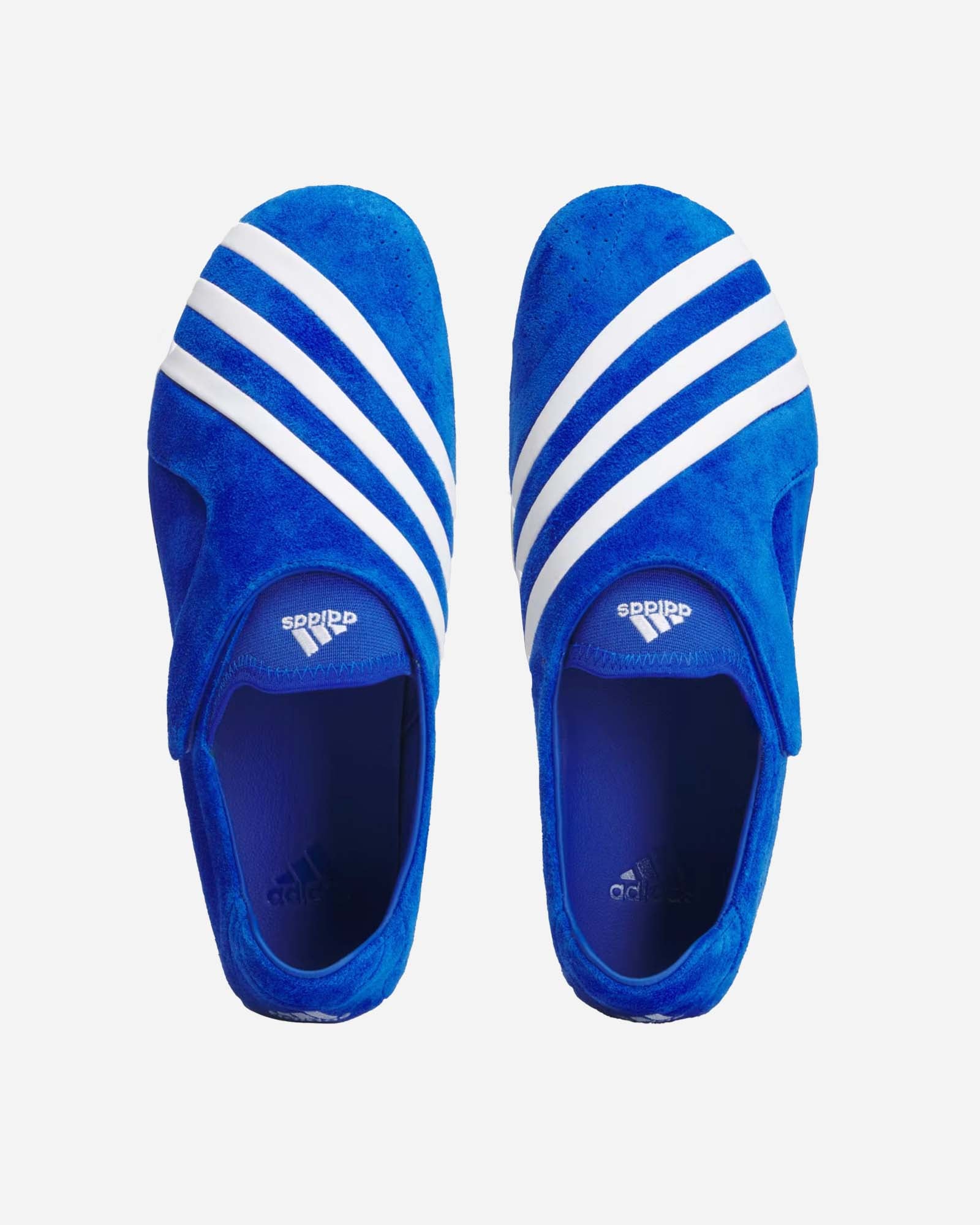 Virginia Vario Flat Earther By Pharrell image
