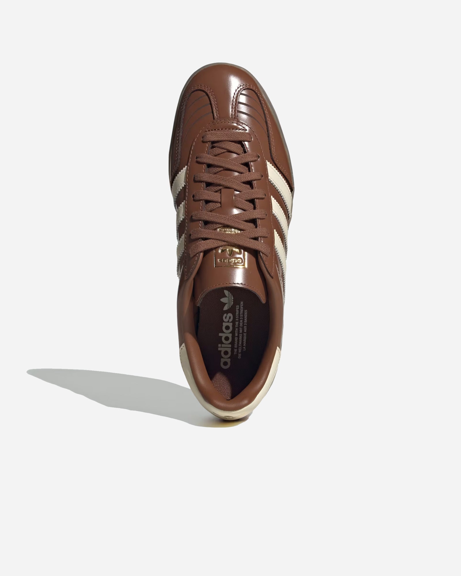 Gazelle Indoor image