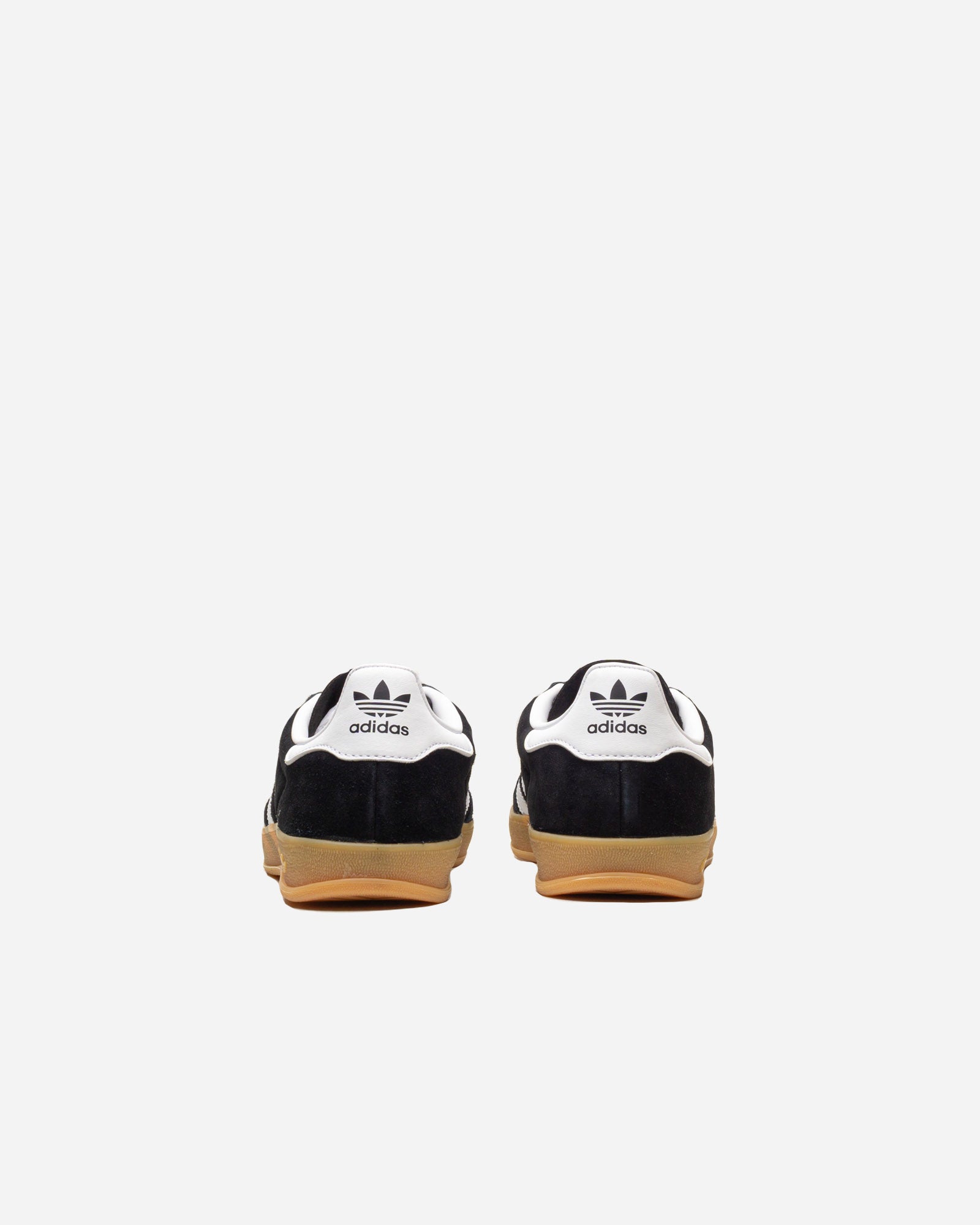Gazelle Indoor image