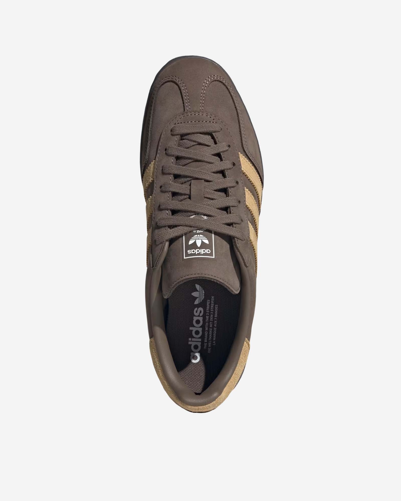 Gazelle Indoor image