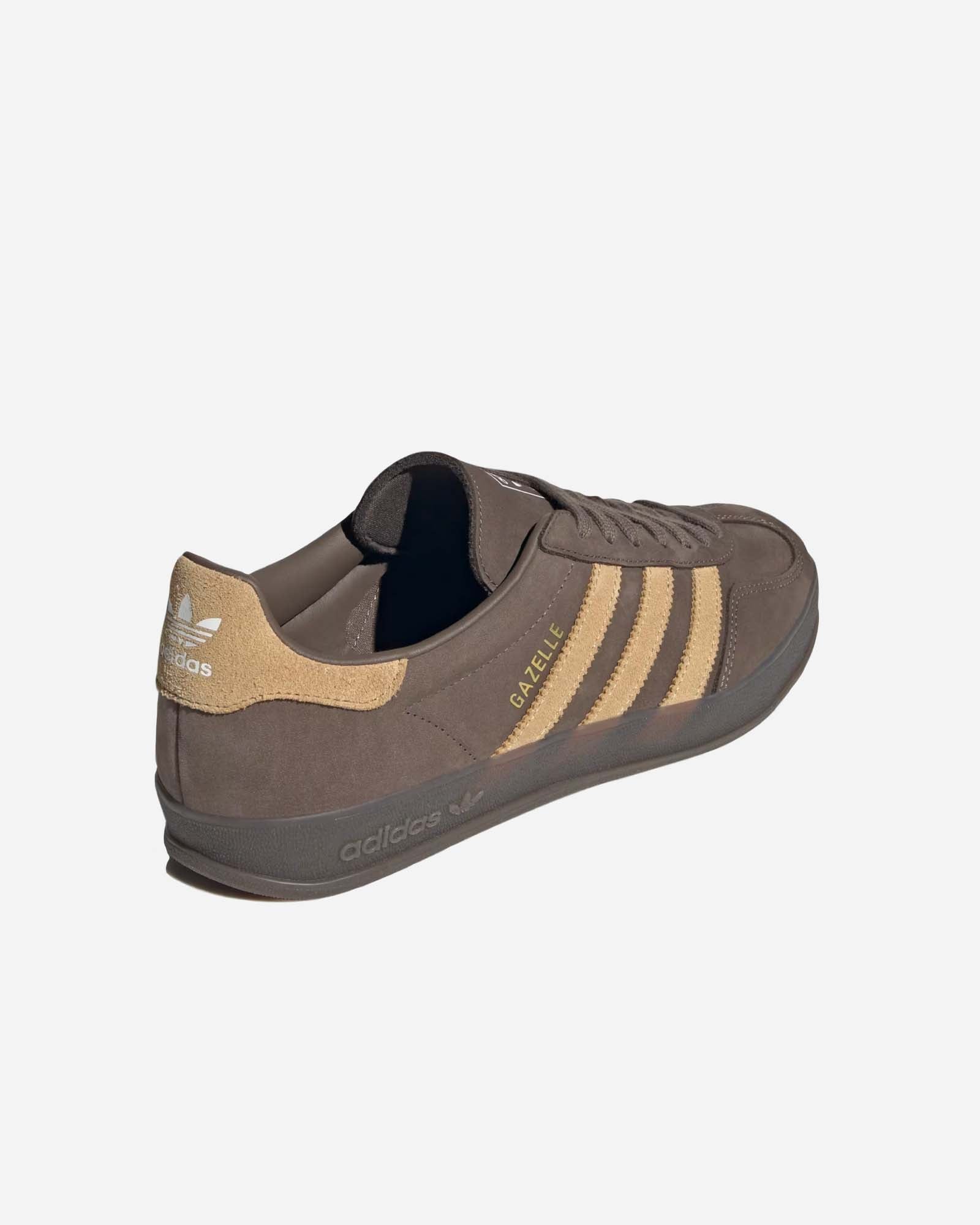 Gazelle Indoor image