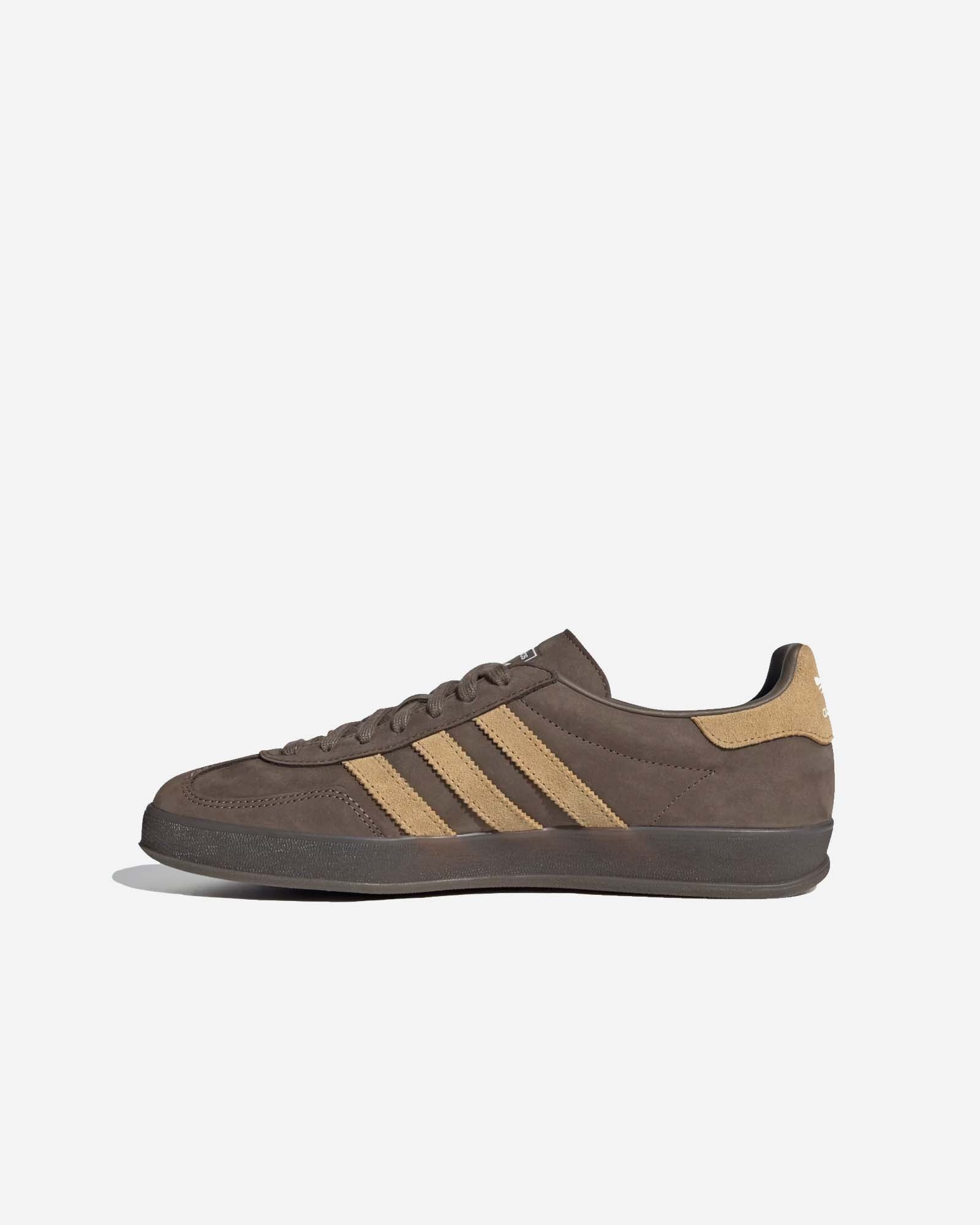 Gazelle Indoor image