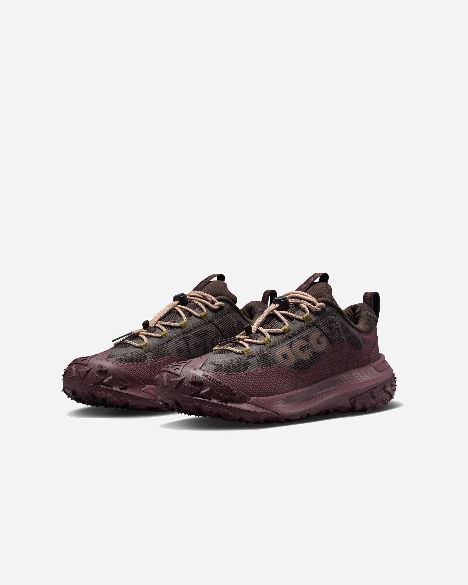 Nike ACG Mountain Fly 2 Low GORE-TEX image