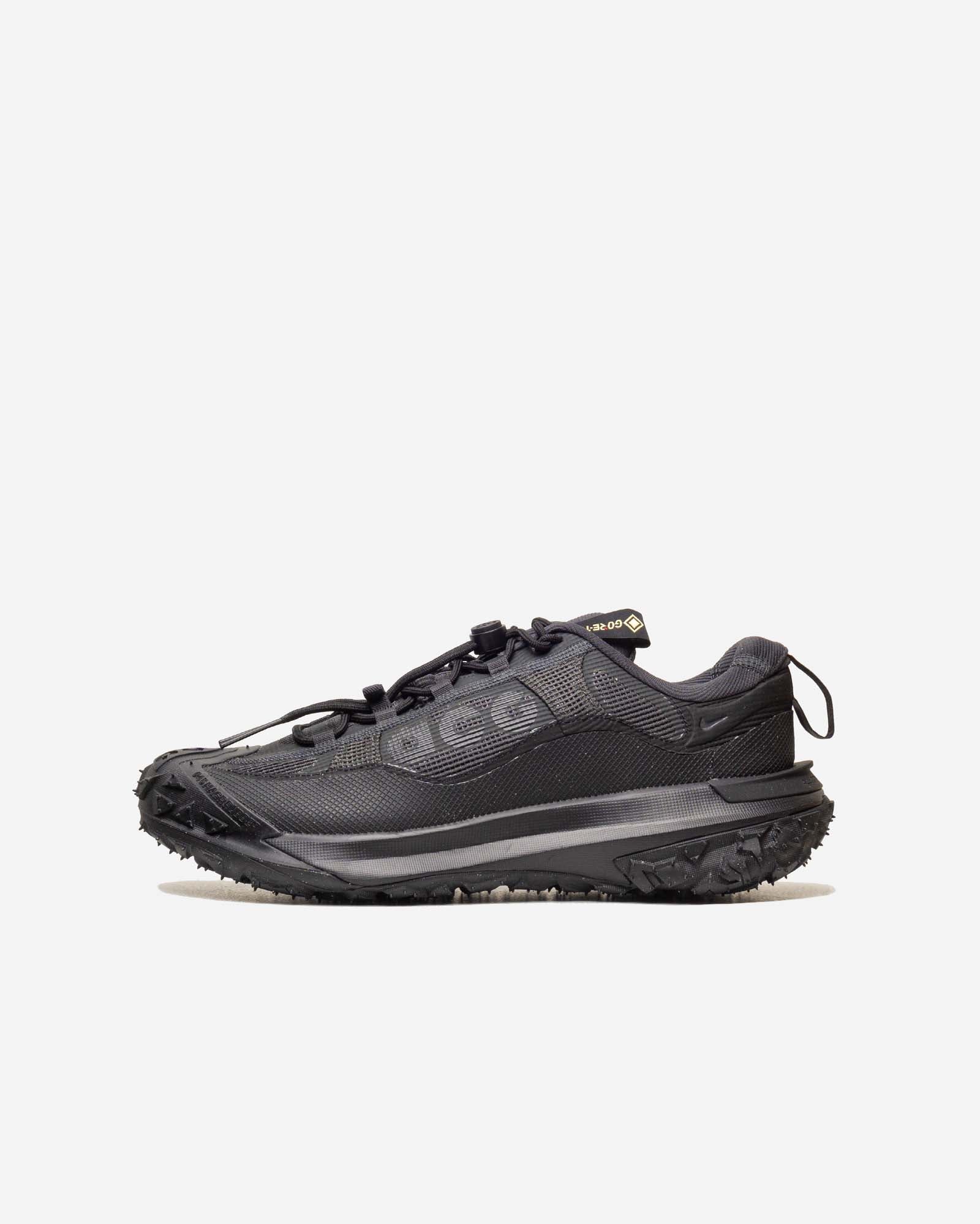 Nike ACG Mountain Fly 2 Low GORE-TEX image