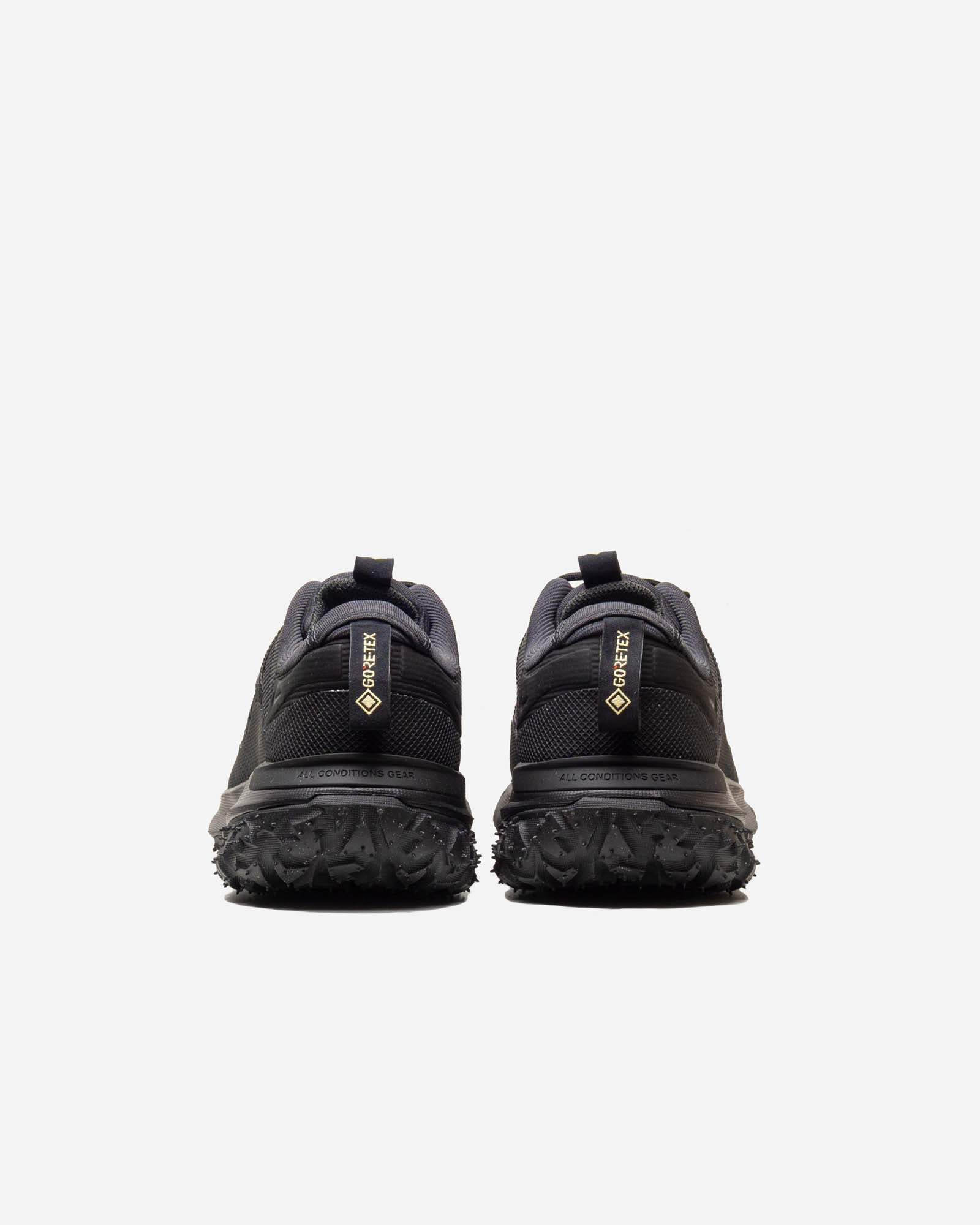 Nike ACG Mountain Fly 2 Low GORE-TEX image