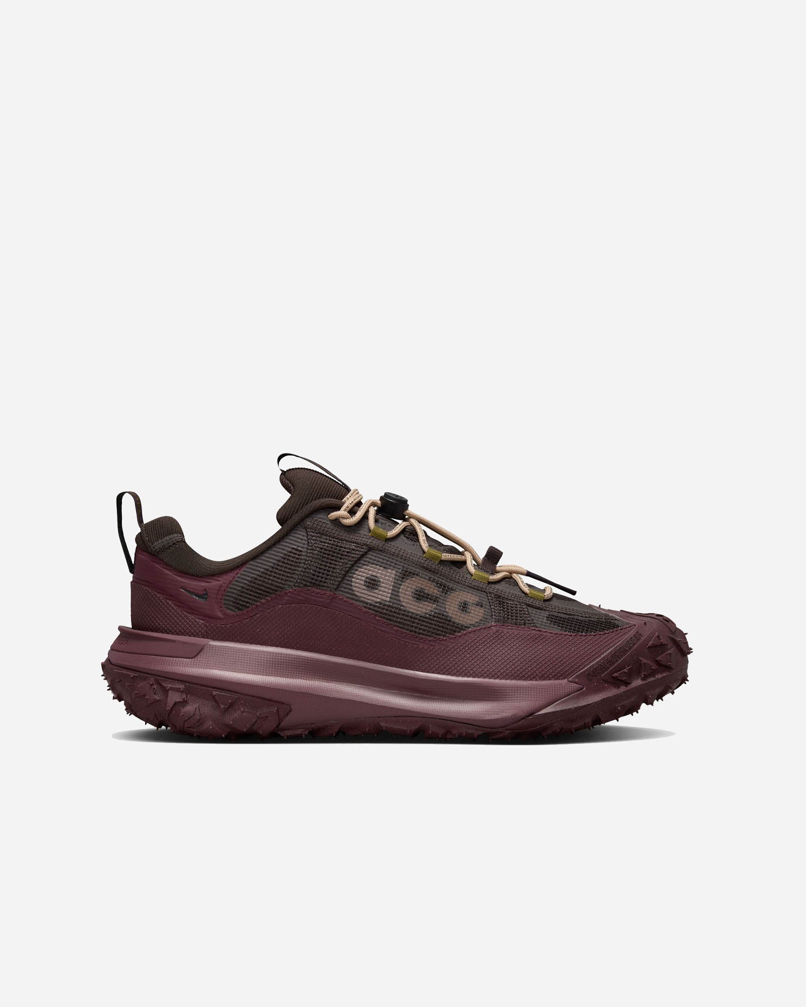 Nike ACG Mountain Fly 2 Low GORE-TEX image