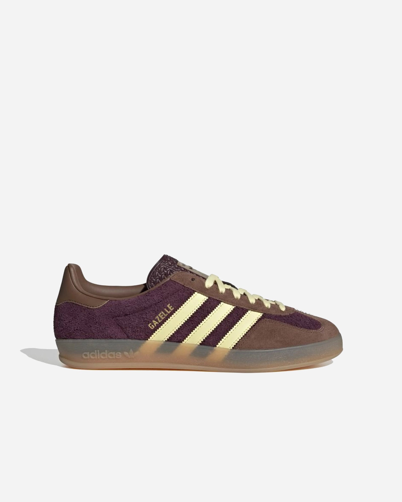 Gazelle Indoor image