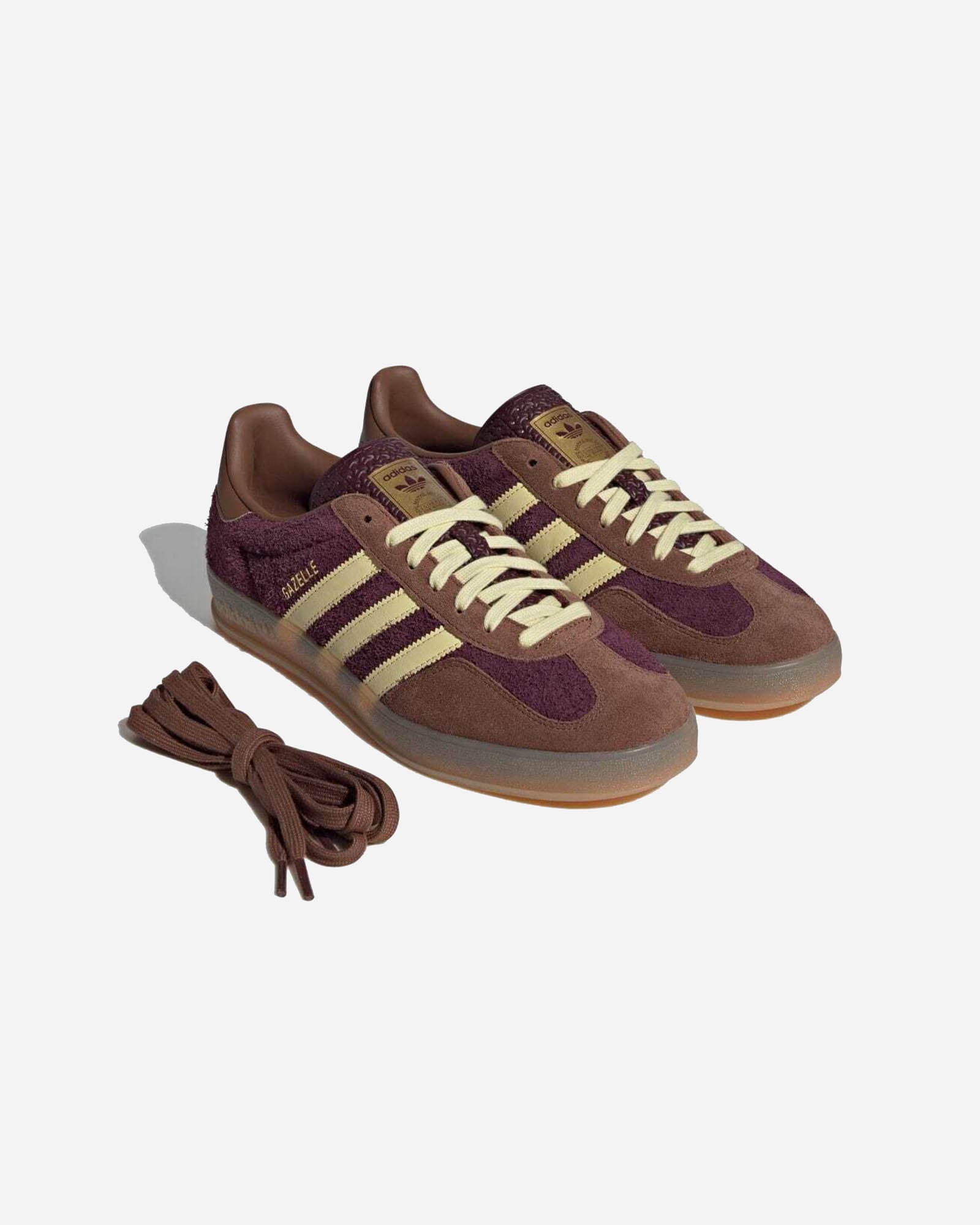 Gazelle Indoor image