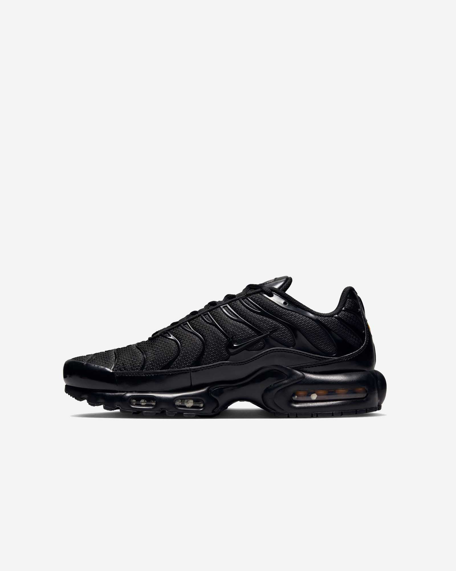 Nike Air Max Plus image